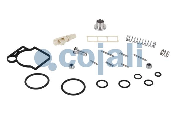 Set reparatie, supapa frana - frana de mana 6012241 COJALI