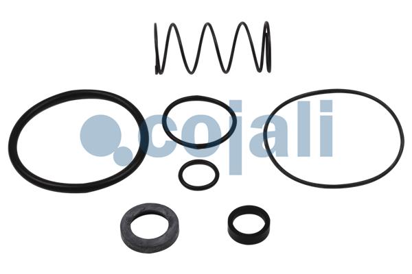 Set reparatie, Supapa releu 6012253 COJALI