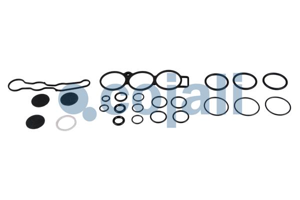 Set reparatie, supapa perna aer 6012277 COJALI