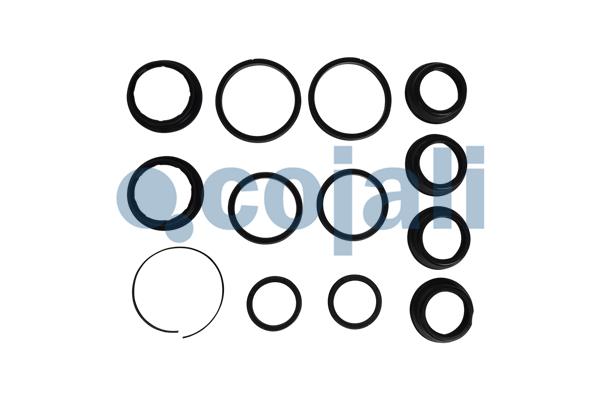 Set garnituri, transmisie manuala 6012384 COJALI