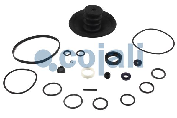 Set reparatie, servofrana 6032108 COJALI