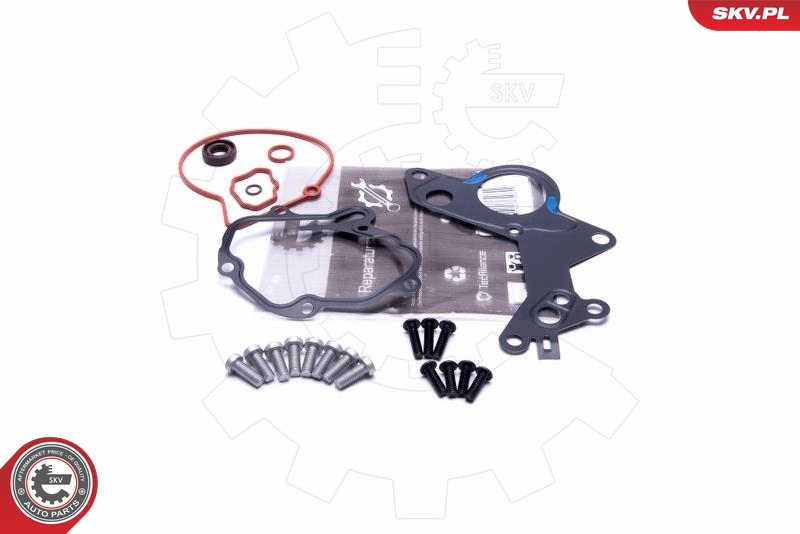 Set reparatie, pompa vacuum (Siste frana) 18SKV801 ESEN SKV