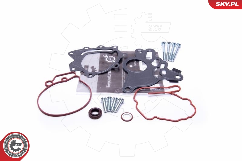 Set reparatie, pompa vacuum (Siste frana) 18SKV804 ESEN SKV