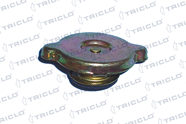 Buson,radiator 311352 TRICLO