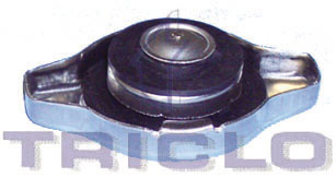 Buson,radiator 316425 TRICLO