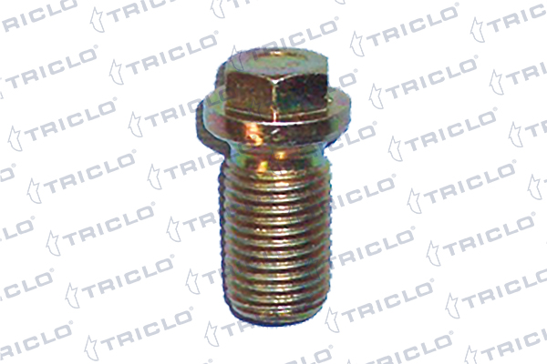 Surub de golire,baia de ulei 323099 TRICLO