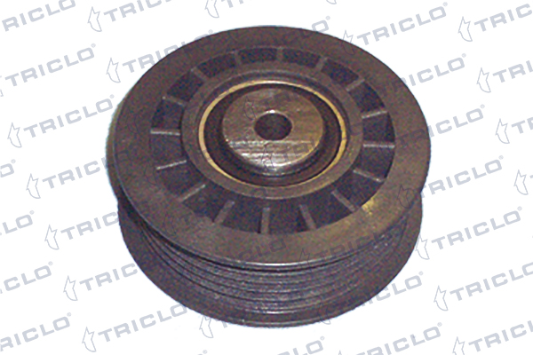 Rola intinzator,curea transmisie 423857 TRICLO