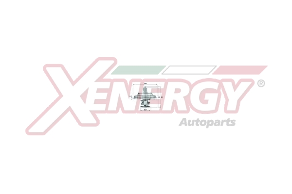 Termostat,lichid racire XT6034 AP XENERGY