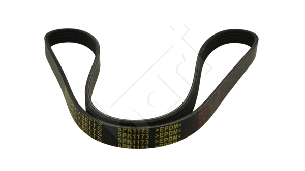 Curea transmisie cu caneluri 368 867 HART