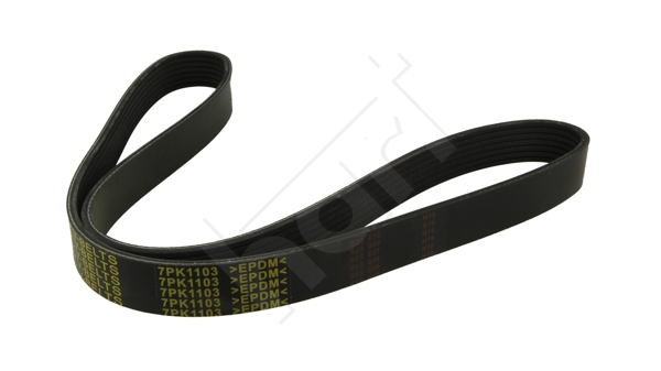 Curea transmisie cu caneluri 369 006 HART