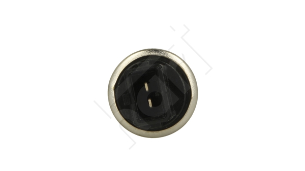 Senzor,temperatura lichid de racire 509 270 HART