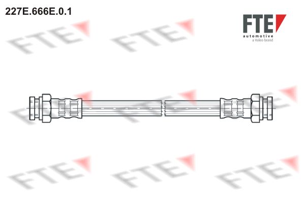 Furtun frana 227E.666E.0.1 FTE
