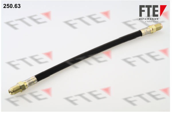 Furtun frana 9741088 FTE