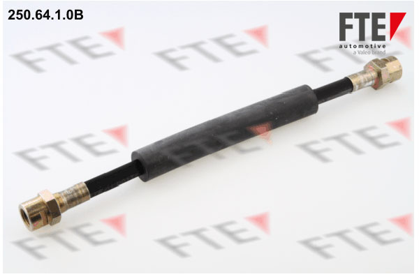 Furtun frana 9741012 FTE