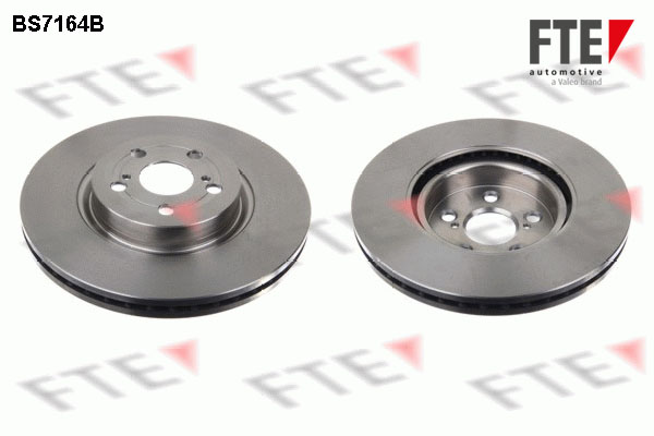 Disc frana 9081088 FTE