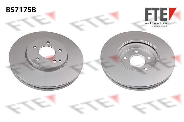 Disc frana 9081254 FTE