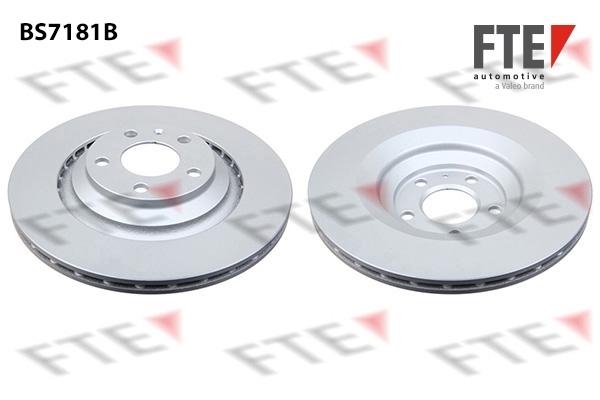 Disc frana 9081115 FTE