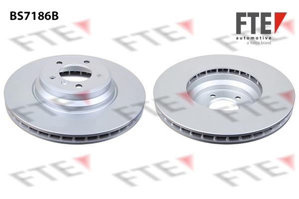 Disc frana 9081080 FTE