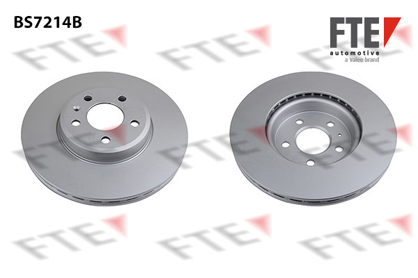 Disc frana 9081018 FTE