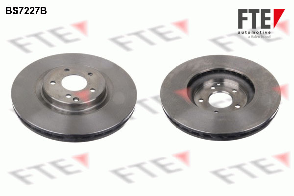 Disc frana 9081260 FTE