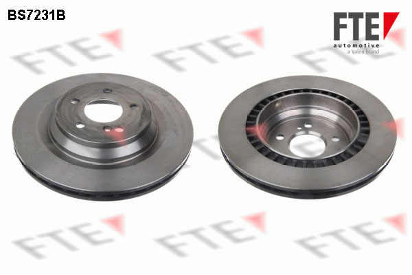 Disc frana 9081188 FTE