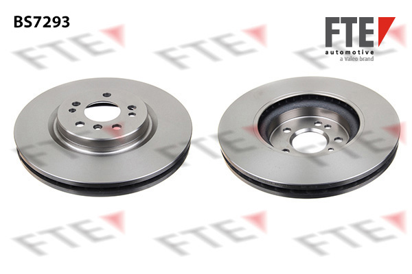 Disc frana 9071021 FTE