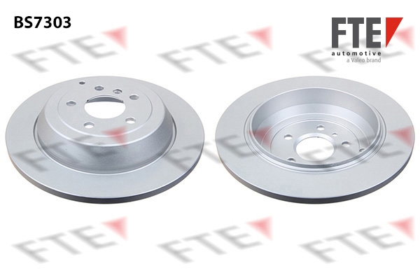 Disc frana 9071224 FTE