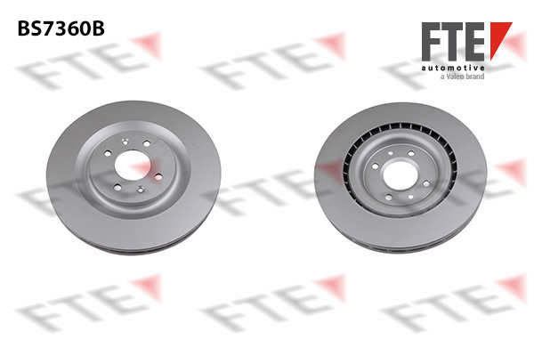 Disc frana 9081058 FTE