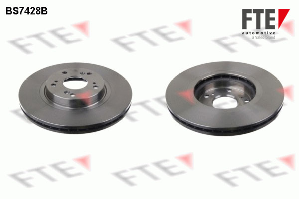 Disc frana 9081106 FTE