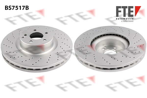 Disc frana 9081276 FTE