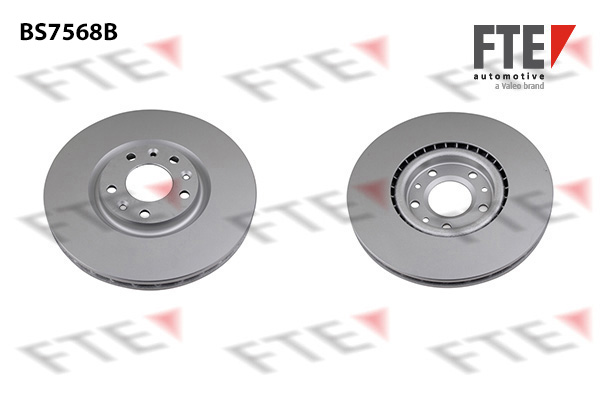 Disc frana 9081203 FTE