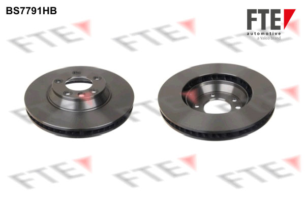 Disc frana 9081012 FTE