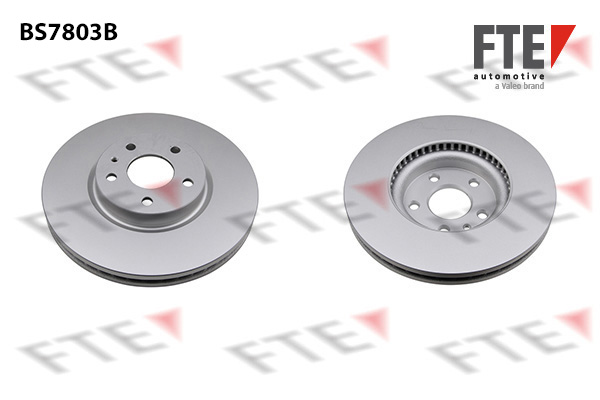 Disc frana 9081148 FTE