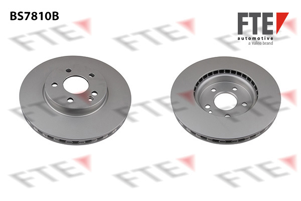 Disc frana 9081149 FTE