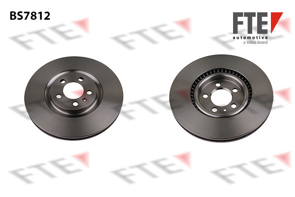 Disc frana 9071284 FTE