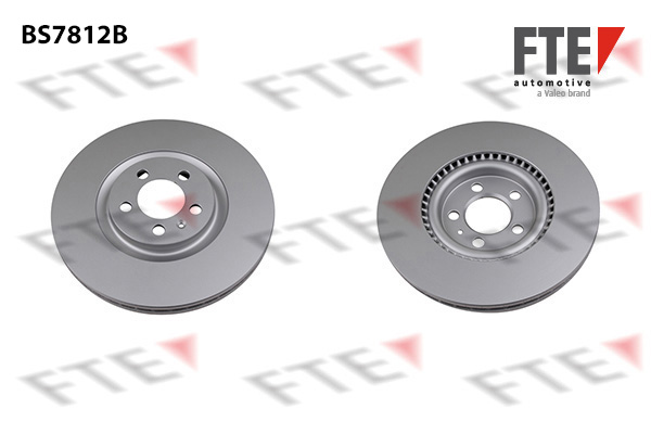 Disc frana 9081163 FTE