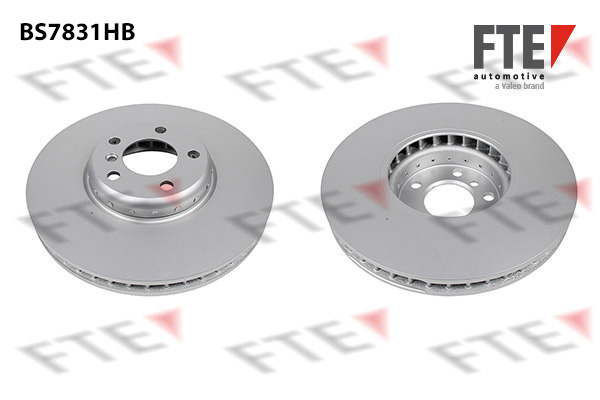 Disc frana 9081210 FTE