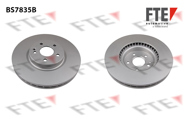 Disc frana 9081136 FTE