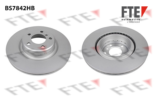 Disc frana 9081213 FTE