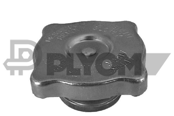 Buson,vas expansiune P756811 PLYOM