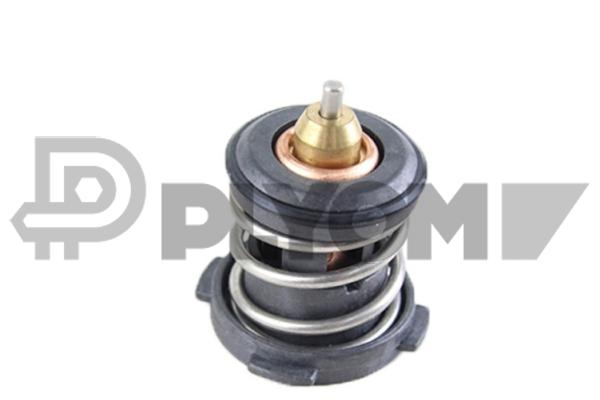 Termostat,lichid racire P772148 PLYOM
