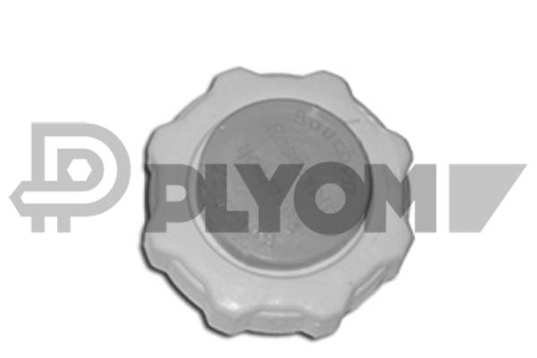 Buson,vas expansiune P954230 PLYOM
