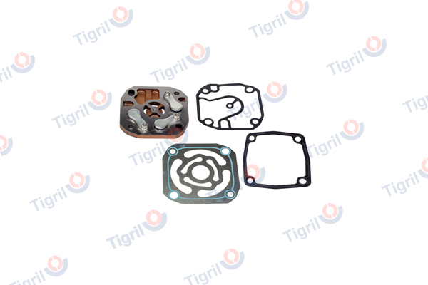 Set garnituri, ventil lamele DB01.0184 TIGRIL