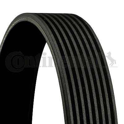 Curea transmisie cu caneluri 8PK2044 CONTINENTAL CTAM IN