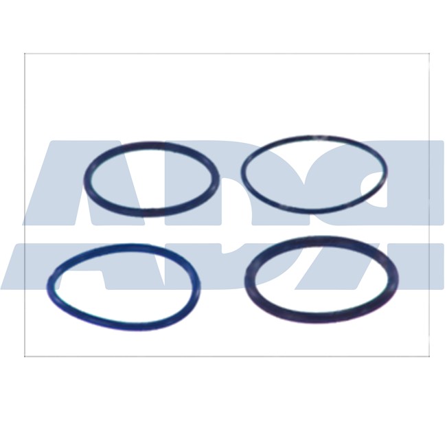 Set garnituri etansare,injectoare 66579581 ADR