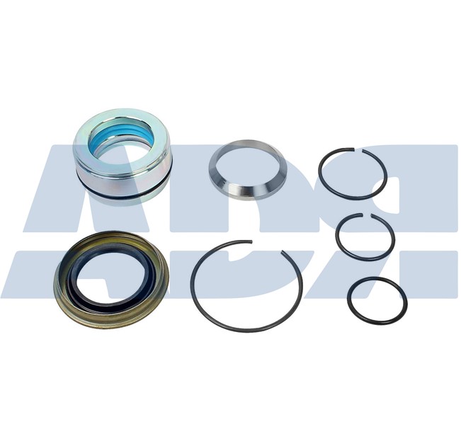 Set reparatie, cilindru basculare 72579458 ADR