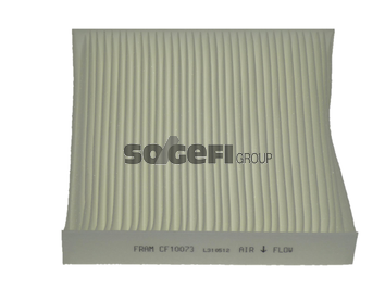Filtru, aer habitaclu CF10073 FRAM