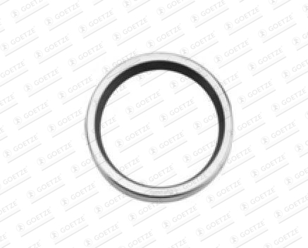 Garnitura termostat 50-319009-00 GOETZE
