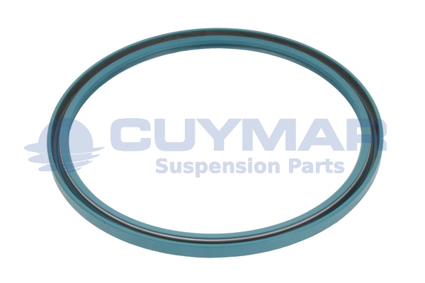Inel etansare, articulatie ax 3308358 CUYMAR