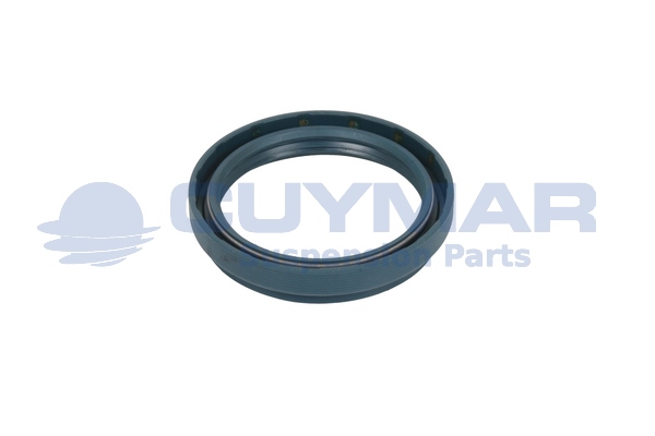 Inel etansare, fuzeta (suport arc) 3403110 CUYMAR